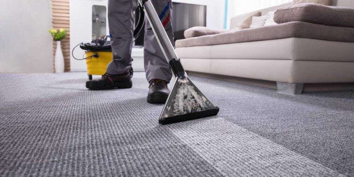 The Science Behind Carpet Cleaning and Family Wellness
