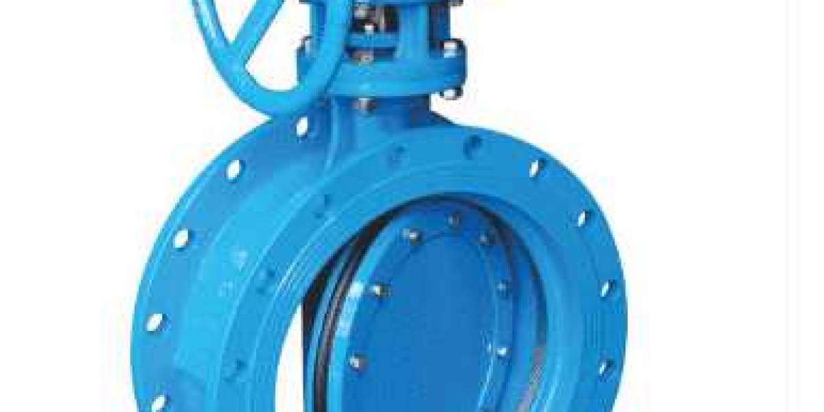 Double Offset Butterfly Valve Manufacturers