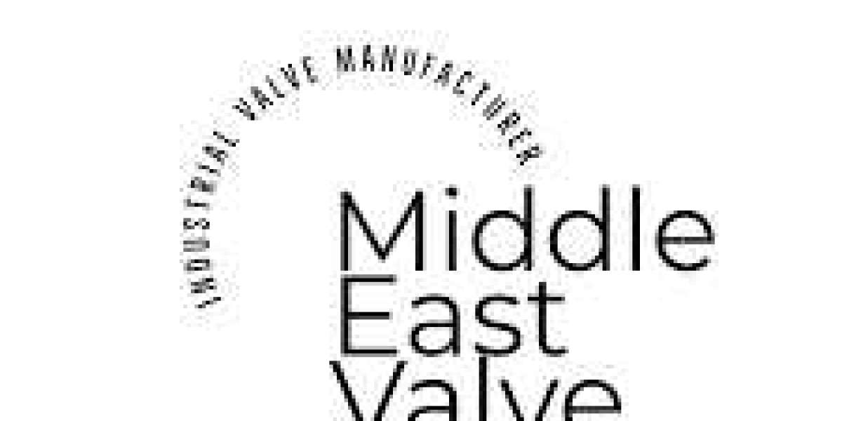 Triple Duty Valve suppliers in UAE