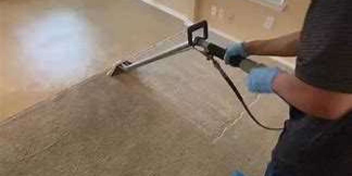 Eco-Friendly Carpet Cleaning Services: What You Need to Know