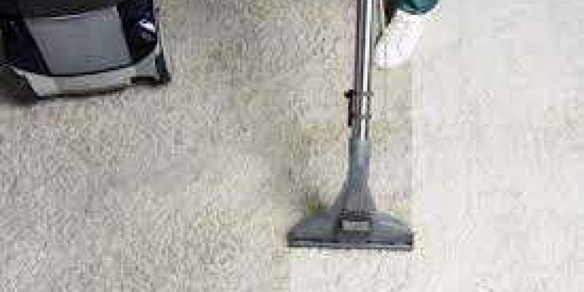Elevate Your Living Standards: Professional Carpet Cleaning Essentials