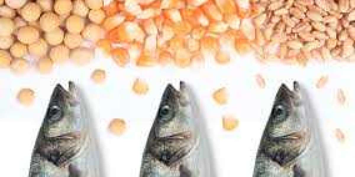Aquaculture Nutrition Market Size and Share Analysis 2024-2032