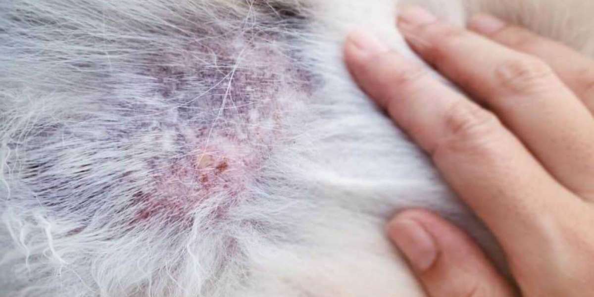 Bacterial Infection of the Skin in Dogs